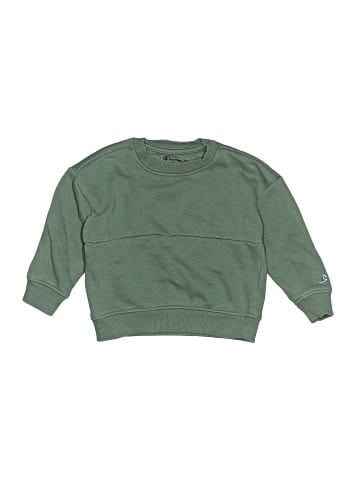 Champion Sweatshirt (view 1)