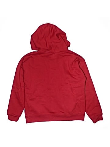Hanes Pullover Hoodie (view 2)
