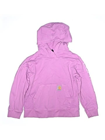 Carhartt Pullover Hoodie (view 1)