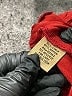 Chances R Solid Red Shorts Size L - photo 4