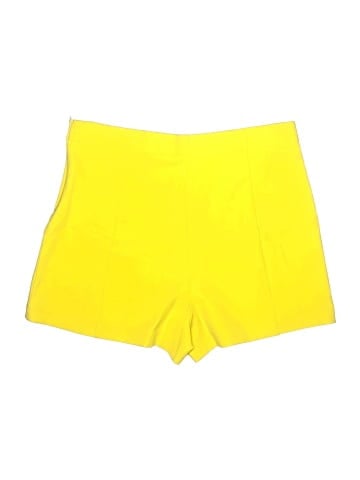 Zara TRF Skort (view 2)