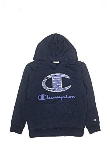 Champion Pullover Hoodie (view 1)