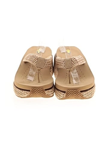 Volatile Wedges (view 2)