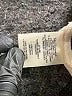 Alice + Olivia Metallic Silver Shorts Size 4 - photo 4
