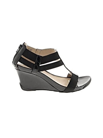Reaction Wedges (view 1)