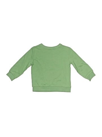 Carter's Sweatshirt (view 2)