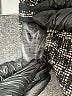 H&M 100% Polyester Houndstooth Gray Coat Size 10 - photo 7