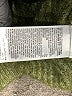 Gap Kids Tweed Green Pullover Sweater Size M (kids) - photo 4