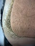 Prada Black Pumps Size EU 38 - photo 3