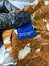 Apt. 9 100% Polyester Animal Print Brown Long Sleeve Blouse Size S - photo 8