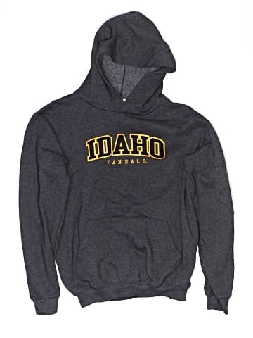 Champion Pullover Hoodie (view 1)