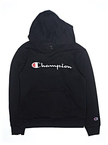 Champion Pullover Hoodie (view 1)