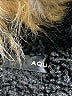 Aqua 100% Polyester Black Coat Size S - photo 6