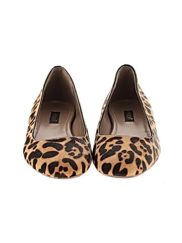 Ecco Flats (view 2)