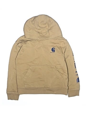 Carhartt Pullover Hoodie (view 1)