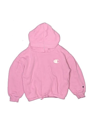 Champion Pullover Hoodie (view 1)