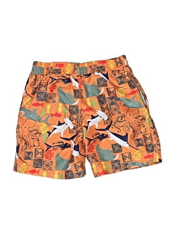 Kiko & Max Board Shorts (view 2)