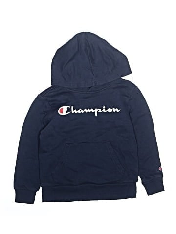 Champion Pullover Hoodie (view 1)