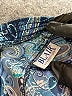 Blair 100% Polyester Paisley Blue Casual Skirt Size XL - photo 4