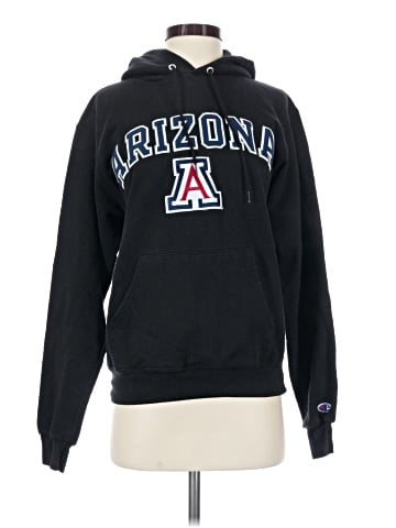 Champion Pullover Hoodie (view 1)