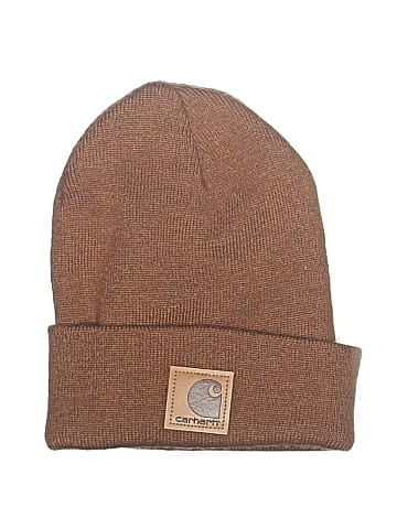 Carhartt Beanie (view 1)