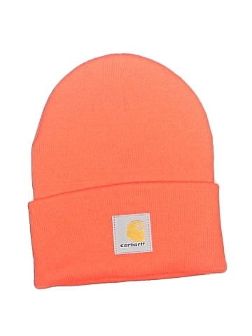 Carhartt Beanie (view 1)