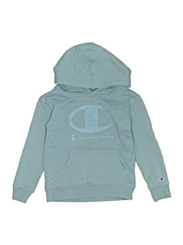 Champion Pullover Hoodie (view 1)