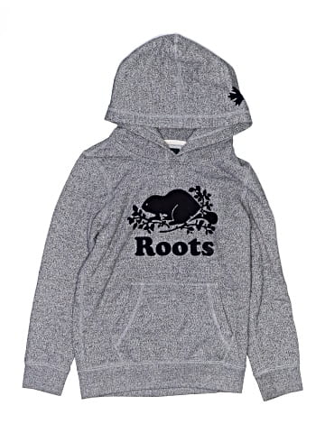 Roots Pullover Hoodie (view 1)