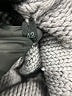 Prada Solid Gray Purple Wool Pullover Sweater Size EU (IT) 42 / US 6 - photo 7