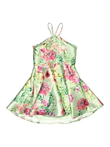 Zunie Dress (view 2)