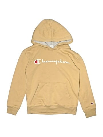 Champion Pullover Hoodie (view 1)
