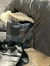 Volcom 100% Polyester Ivory Casual Pants 12-18 MO / 18 MO - photo 4