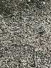 Gap Blue Jeans Size 8 (petite) - photo 8