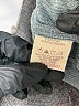 Mystree 100% Polyester Gray Coat Size L - photo 7