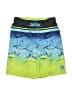 ZeroXposur 100% Polyester Green Board Shorts Size 7 - 8 - photo 1
