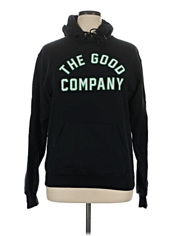 Champion Pullover Hoodie (view 1)