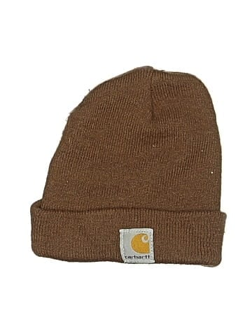 Carhartt Beanie (view 1)