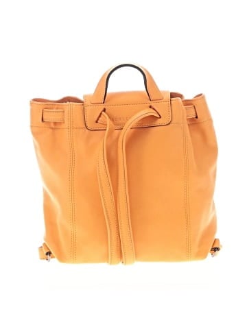 Longchamp Backpack (view 2)