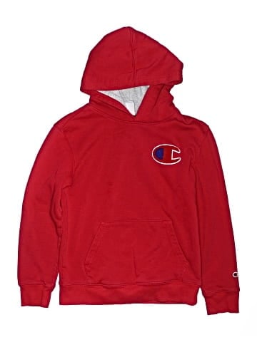 Champion Pullover Hoodie (view 1)