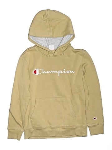 Champion Pullover Hoodie (view 1)