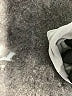 Apt. 9 Ivory Sleeveless Blouse Size XXL - photo 8
