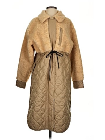 Everlane Coat (view 1)
