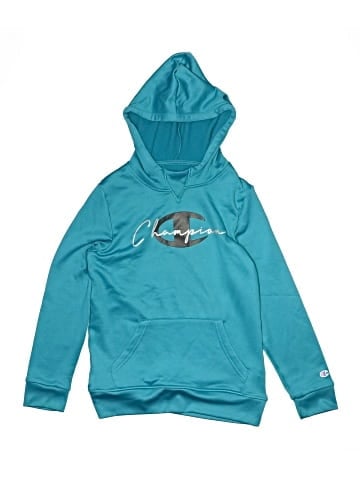 Champion Pullover Hoodie (view 1)