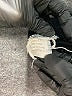 misook Solid Black Active Pants Size 1X - photo 8