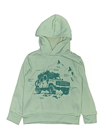 Tony Hawk Pullover Hoodie (view 1)