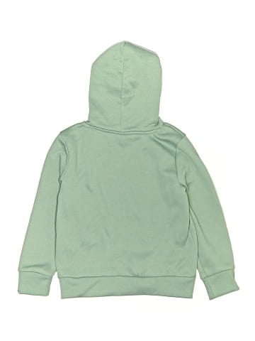 Tony Hawk Pullover Hoodie (view 2)