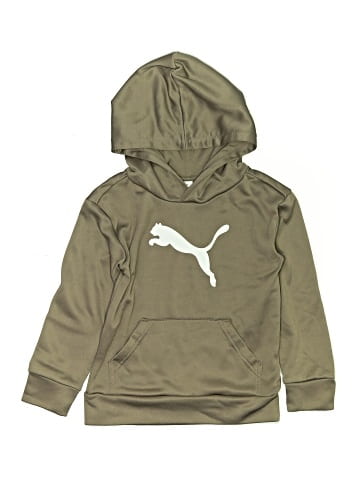 Puma Pullover Hoodie (view 1)