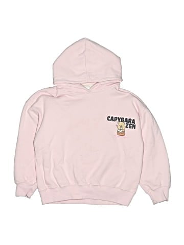 Zara Pullover Hoodie (view 1)