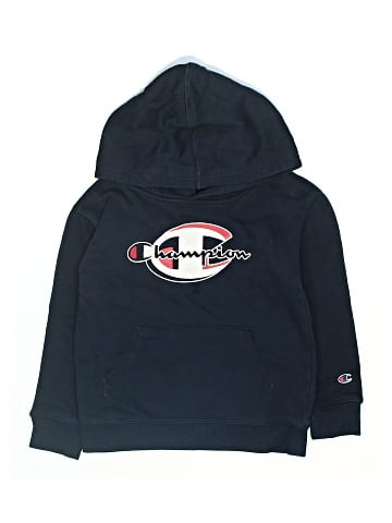 Champion Pullover Hoodie (view 1)