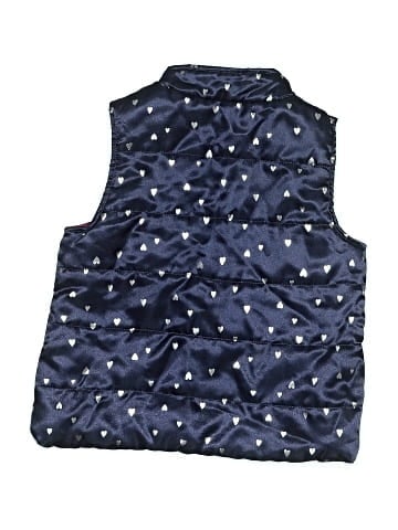 Gymboree Vest (view 2)